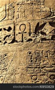 Ancient egyptian hieroglyphs in the Karnak Temple, Luxor, Egypt