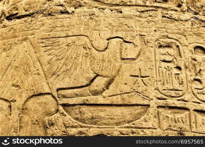 Ancient egyptian hieroglyphs in the Karnak Temple, Luxor, Egypt. Ancient egyptian hieroglyphs in the Karnak Temple in Luxor