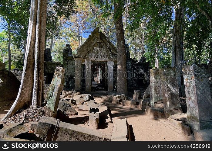 Ancient emple ruins and banyan tree in Koh Ker