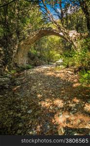 Ancient Genoese Ponte Sottano bridge in the woods near Corscia in central Corsica