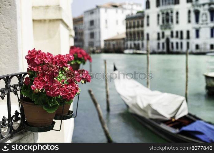 Ancient gondolas boat in Venice. Flowerpot with red flowers on foreground