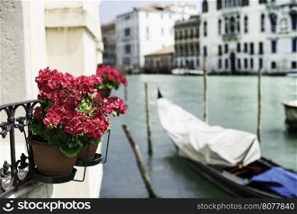 Ancient gondolas boat in Venice. Flowerpot with red flowers on foreground