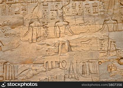 Ancient hieroglyphs on wall, Temple of Karnak,
