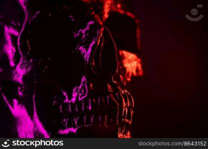 Ancient human skull head close-up. Neon pink and red light. Spooky and sinister. Glamour, disco, halloween concept.. Ancient human skull head close-up. Neon pink and red light. Spooky and sinister. Glamour, disco, halloween concept