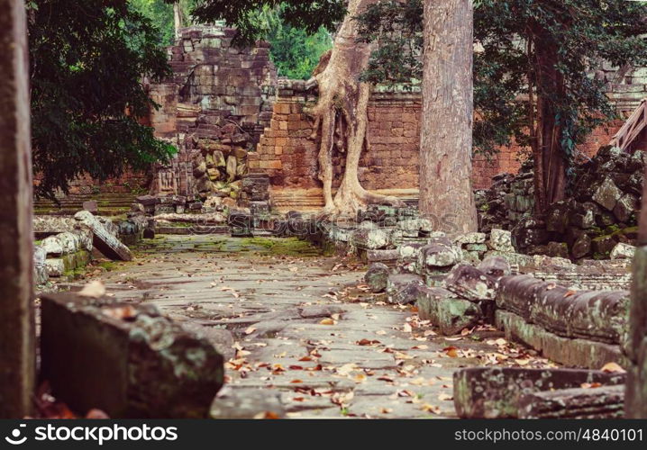 Ancient Khmer civilization ruins of Angkor near Siem Reap, Cambodia