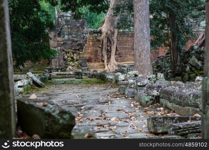 Ancient Khmer civilization ruins of Angkor near Siem Reap, Cambodia