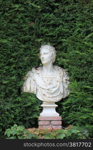 Ancient Marble bust