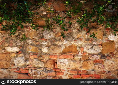 Ancient, retro brick, stone wall with ivy. Vintage, grunge background. Ancient brick, stone wall with ivy. Vintage, grunge background