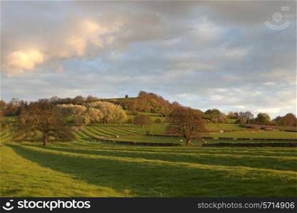 Ancient ridge and furrow field patterns, Warwickshire, England.