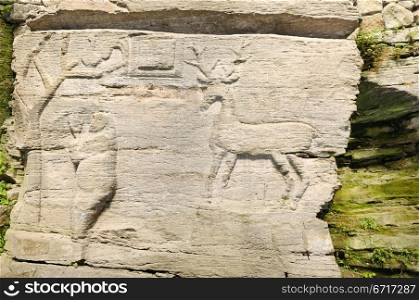 ancient rock drawings of animals