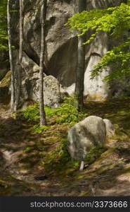 Ancient rocks among spring forest and footpath