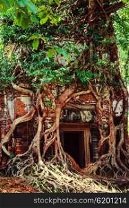 Ancient ruins of Angkor, Cambodia