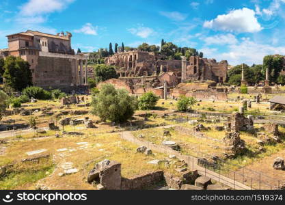 Ancient ruins of Forum in a summer day in Rome, Italy