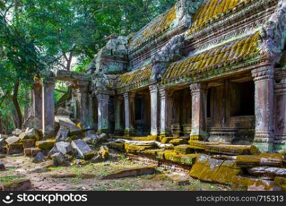 Ancient ruins of Ta Prohm temple in the Angkor Wat, Cambodia