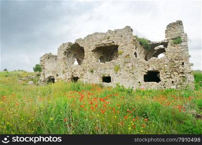 Ancient ruins overgrown with grass and flowers
