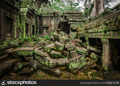 Ancient stone ruins of Ta Prohm temple, Angkor, Cambodia