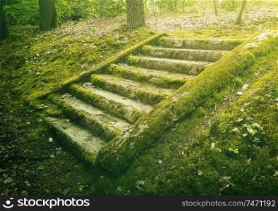 Ancient stone stair steps in the woods covered by green moss. Mysterious fairytale scene with an old stairway.