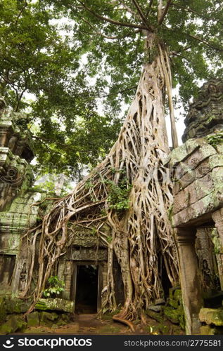 Ancient Ta Prohm or Rajavihara Temple at Angkor, Siem Reap, Cambodia.