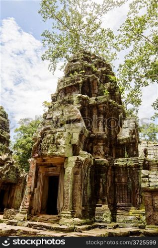 Ancient Ta Prohm or Rajavihara Temple at Angkor, Siem Reap, Cambodia.