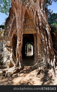 Ancient temple Preah Khan in Angkor complex, Siem Reap, Cambodia