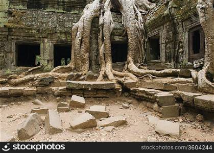 Ancient Temple with Tree Roots Covering Part of Structure