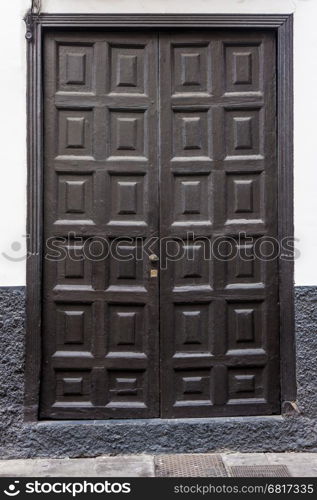 Ancient wooden door. Antique door