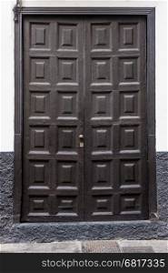 Ancient wooden door. Antique door