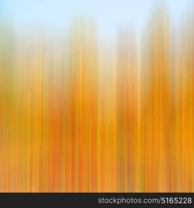 and abstract colors and blurred background