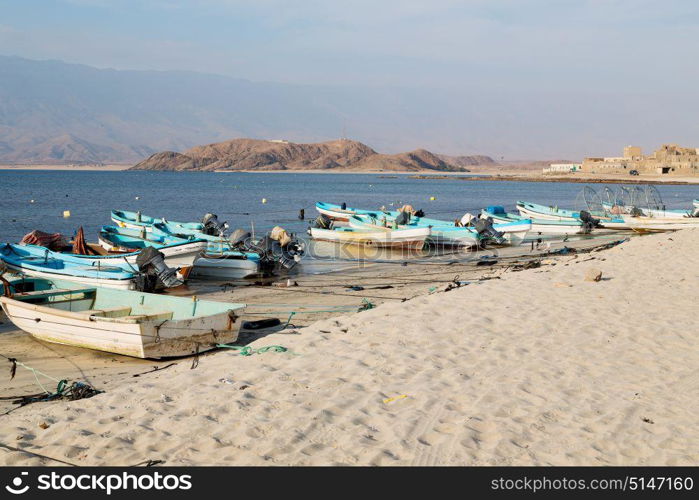 and seagull near ocean in oman boat in the coastline