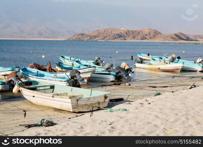 and seagull near ocean in oman boat in the coastline