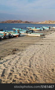 and seagull near ocean in oman boat in the coastline