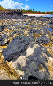 andilana beach seaweed in indian ocean madagascar mountain sand isle sky and rock