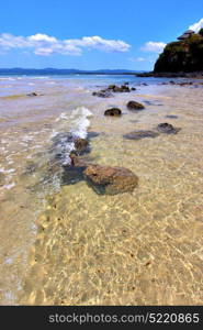 andilana beach seaweed in indian ocean madagascar mountain sand isle sky and rock