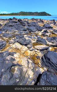 andilana beach seaweed in indian ocean madagascar mountain sand isle sky and rock