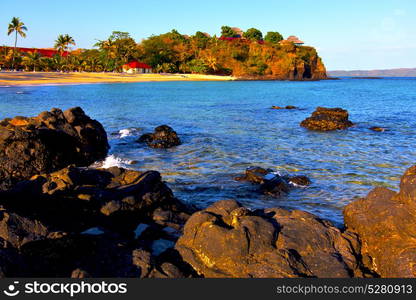 andilana beach seaweed in indian ocean madagascar mountain sand isle sky and rock