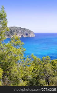 Andratx Camp de Mar in Mallorca Balearic Islands pines and mountains bay