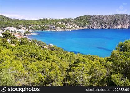 Andratx Camp de Mar in Mallorca Balearic Islands pines and mountains bay
