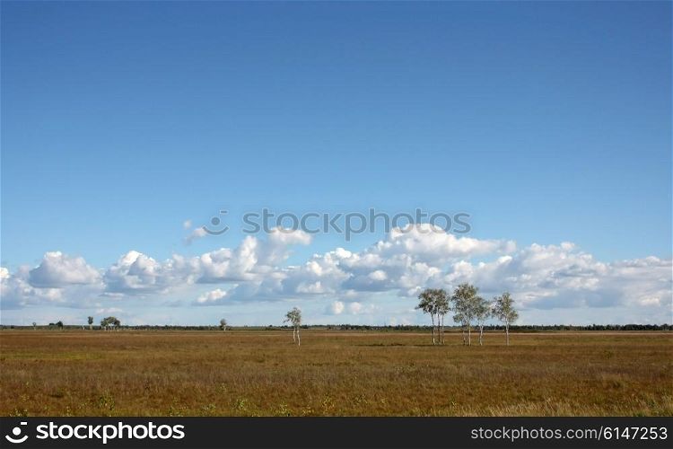 andscape with clouds and field up to the horizon.