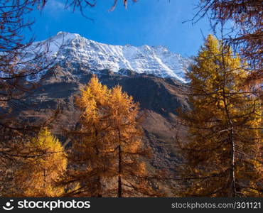 ANENHUTTE LOTSCHENTAL VALAIS SUISSE . PATRIMOINE MONDIAL DE L?UNESCO