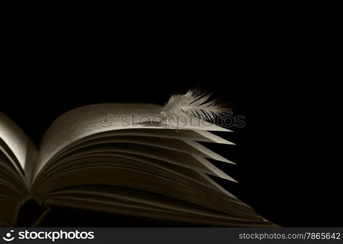 angel feather lying on the pages of an open book