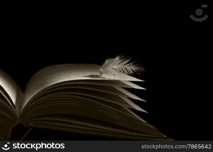 angel feather lying on the pages of an open book