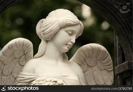 angel with a female face