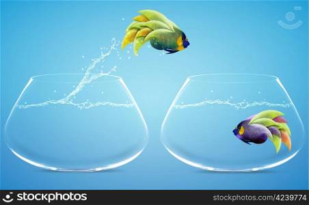 Angelfish jumping to other bowl, Good Concept for new love, freedom, liberty, independence, unrestraint, new Opportunity and challenge concept.