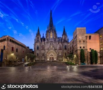 Angels Flying in front of the Cathedral of the Holy Cross and Saint Eulalia, Barcelona, Catalonia, Spain