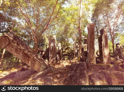 Angkor, Cambodia