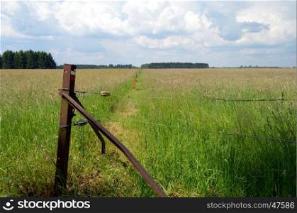 Angle of a fence in iron pickets and barbed wire.