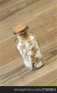 Angled vertical view of a glass bottle filled with sea shells on rustic wood