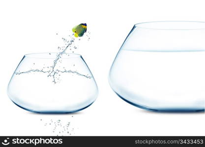 Anglefish jumping into bigger fishbowl.. Anglefish jumping to Big bowl
