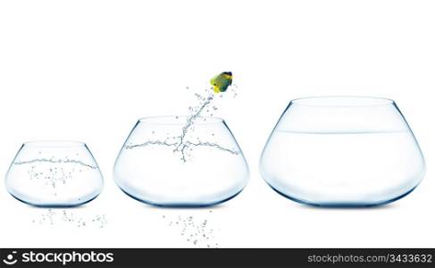 Anglefish jumping to Big bowl, Good Concept for new life, Big Opprtunity, Ambition and challenge concept.. Anglefish jumping to Big bowl