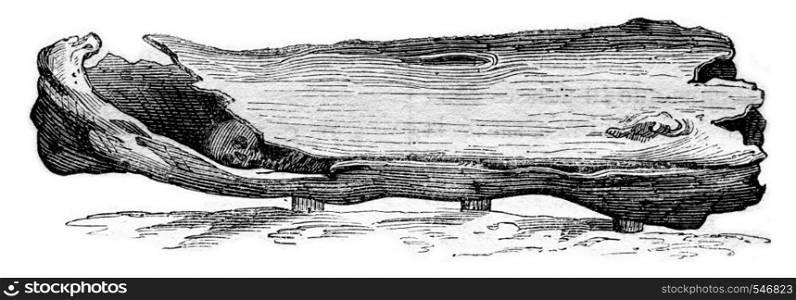 Anglo-Saxon coffin is Solby Yorkshire 1834-1857, vintage engraved illustration. Magasin Pittoresque 1861.